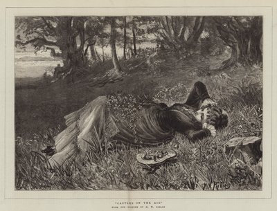 Havadaki Kaleler by Matthew White Ridley